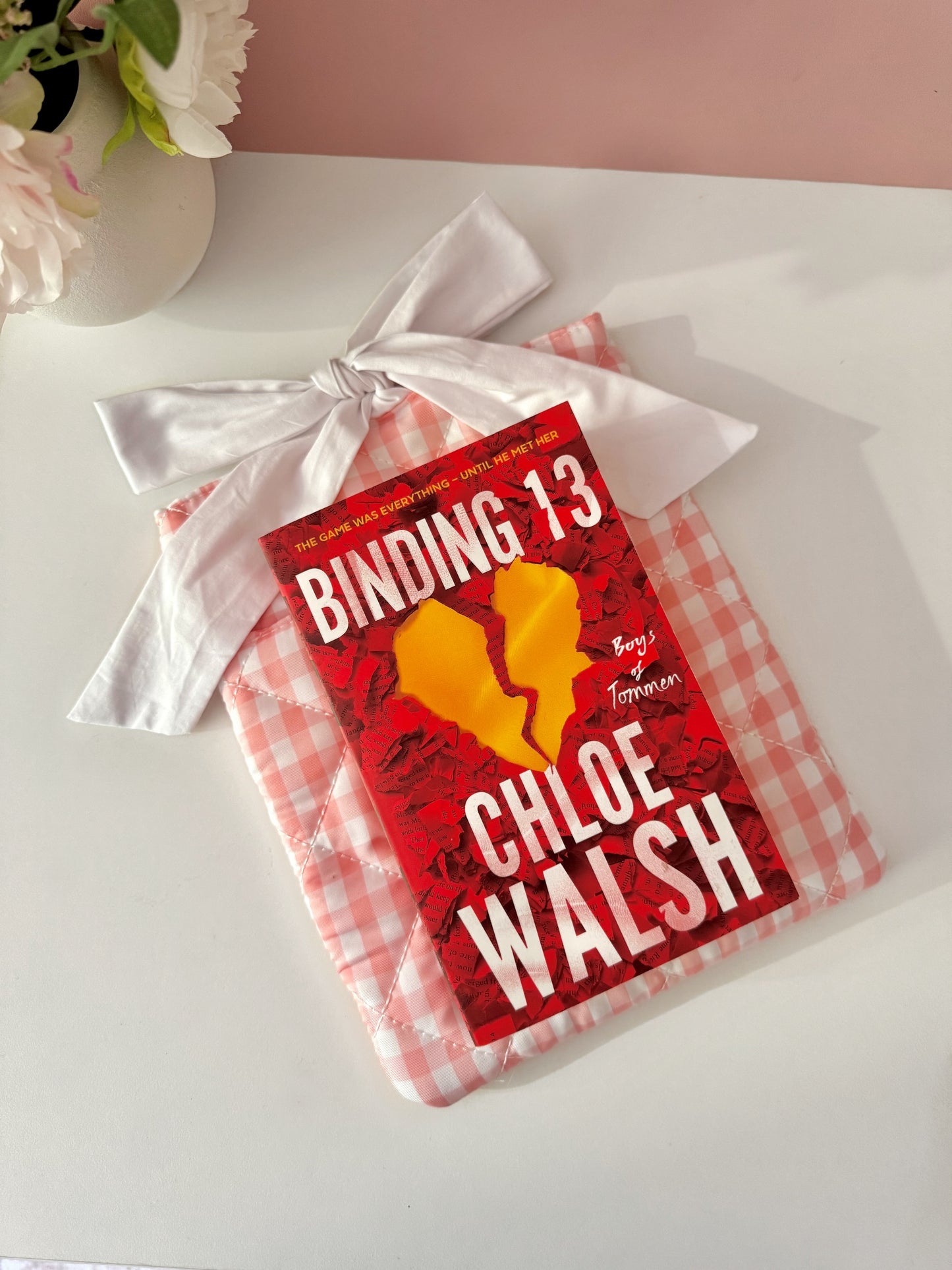 Pink Gingham Book Sleeve